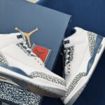 Air Jordan 3 True Blue and Copper