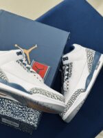 Air Jordan 3 True Blue and Copper