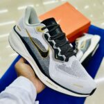 Nike air Zoom Pegasus 41 Grey