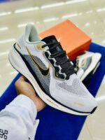 Nike air Zoom Pegasus 41 Grey