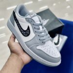 Air Jordan 1 Low X Dior