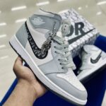 Air Jordan 1 High X Dior